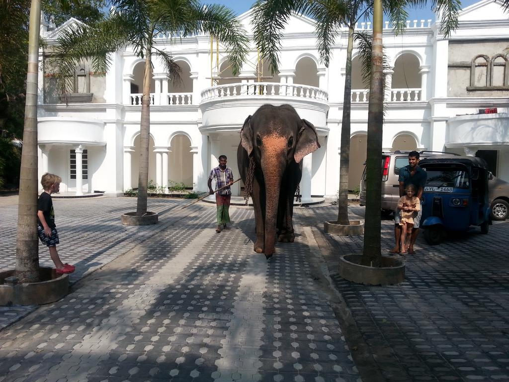 Bougain Villa Bentota Extérieur photo