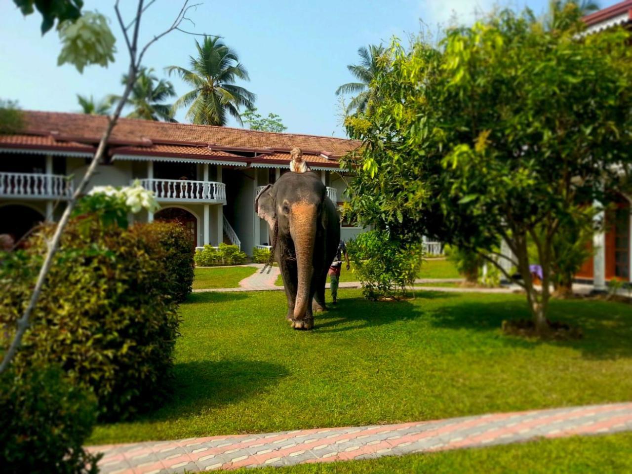 Bougain Villa Bentota Extérieur photo